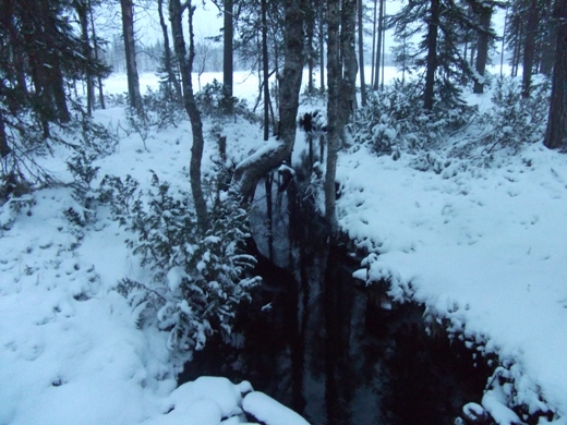 laponia salla papa noel