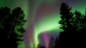 Aurora boreal Laponia
