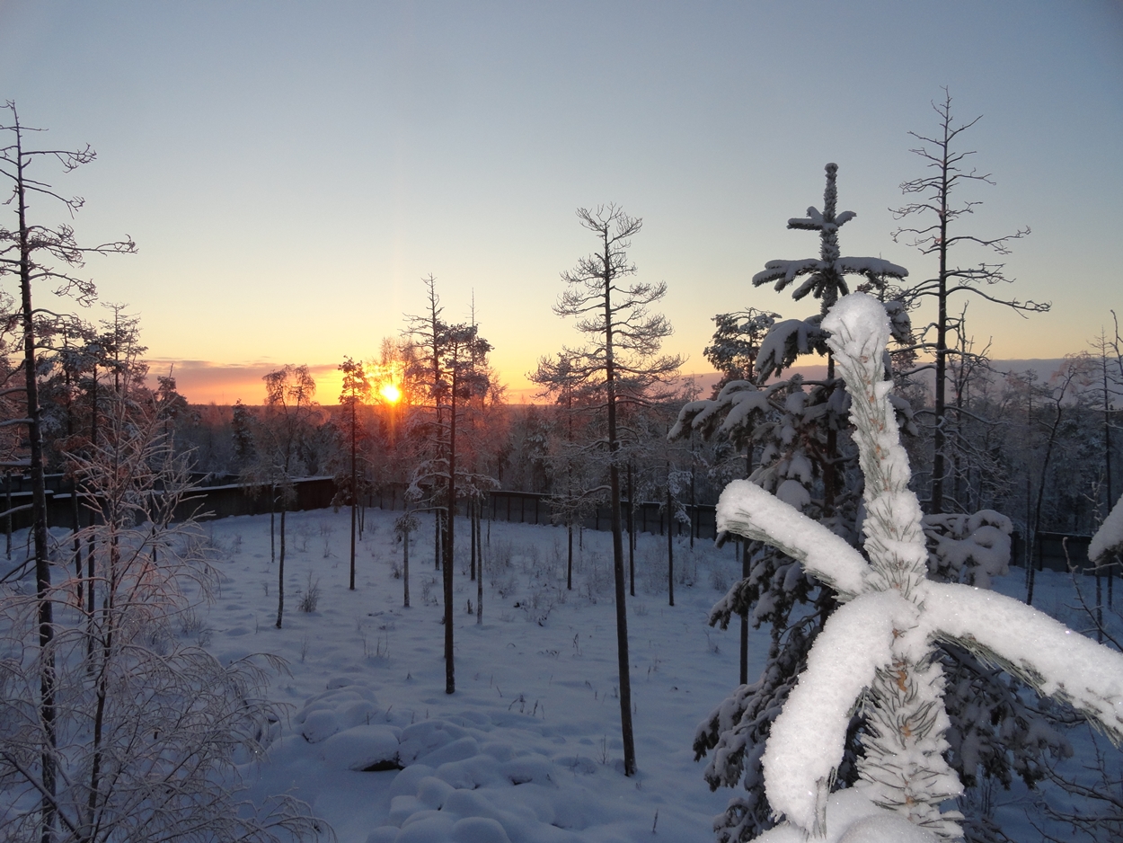 Francesc-V-Rovaniemi-Navidad-2014